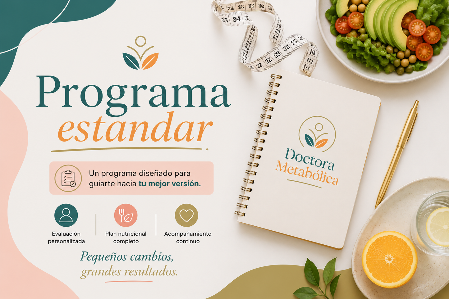 Programa estándar
